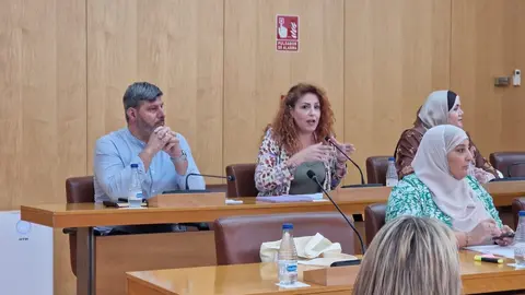  Julia Ferreras ha marcado su interpelaci&oacute;n con un tono muy duro contra el Ejecutivo 