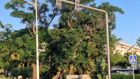 Sem&aacute;foro estropeado en los Jardines de la Argentina.