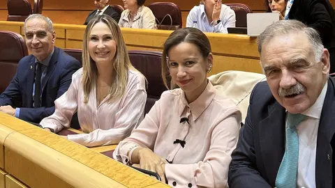 El Grupo Parlamentario Popular en el Senado / PP