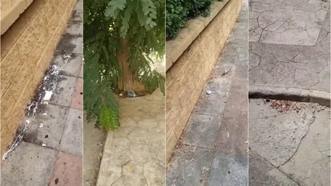 Montaje con varias capturas de v&iacute;deos vecinales en las que se muestra la suciedad del Pol&iacute;gono V&iacute;rgen de &Aacute;frica.