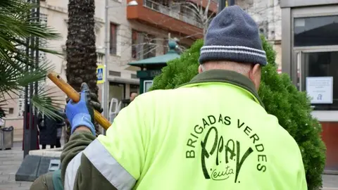  Brigadas Verdes 