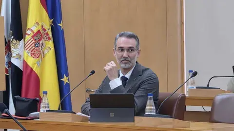  Sebasti&aacute;n Guerrero durante el Pleno / Archivo 