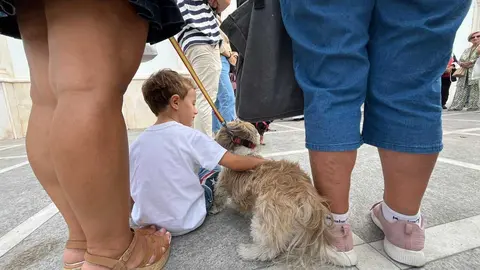 Bendición de animales por San Daniel.17