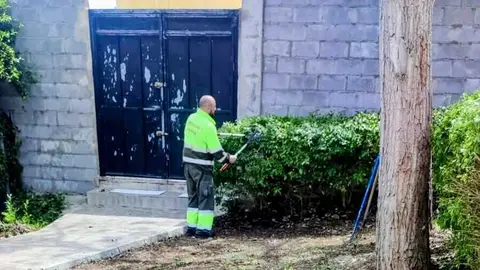  Brigadas verdes 