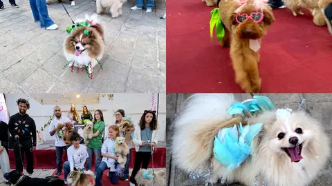 mercado camara con encanto desfile
