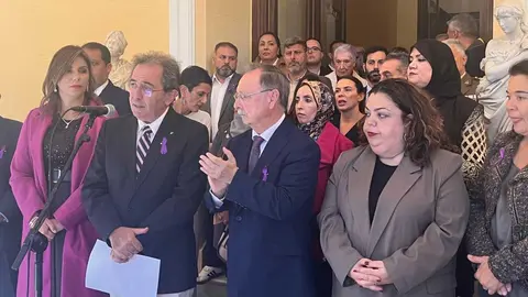Pleno y acto institucional con motivo del 25N (9)