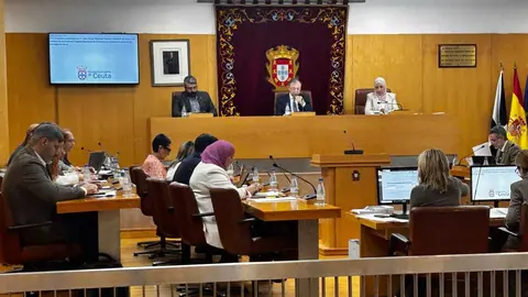 El Pleno de la Asamblea