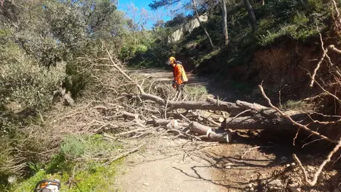 Las brigadas forestales trabajan en los montes para recuperar los senderos y eliminar los &aacute;rboles ca&iacute;dos durante el temporal / Cedida