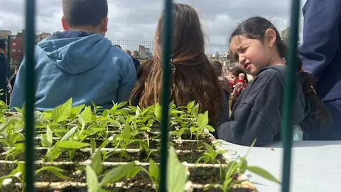 Visita al Huerto Urbano de 'La Esperanza' en Doctora Soraya.5