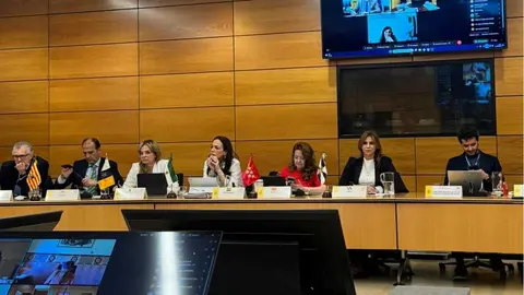 Un momento del pleno del SNS.