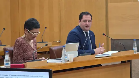 Alejandro Ram&iacute;rez en la sesi&oacute;n de control del Pleno / L.O.