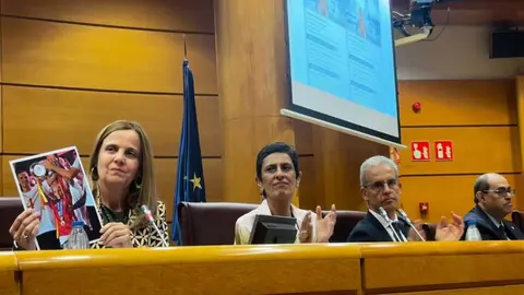 Un momento de la comparecencia de Chandiramani.