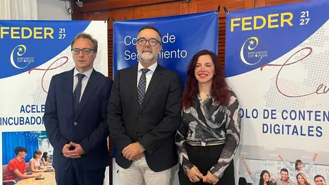 Comit&eacute; de seguimiento de los fondos FEDER / A.I.