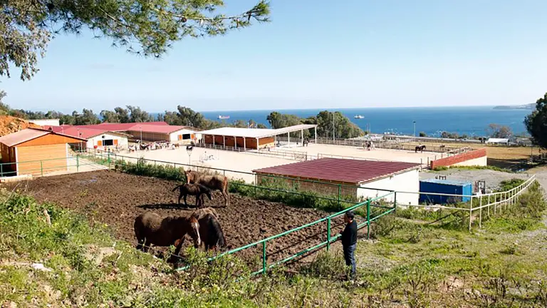 Escuela H&iacute;pica