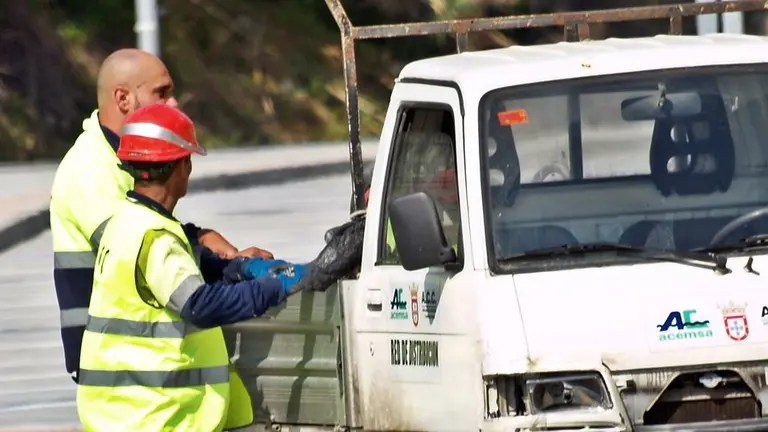 acemsa trabajadores