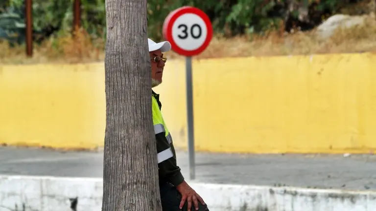 brigadas verdes