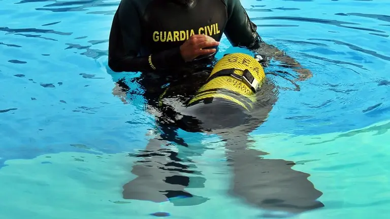 geas guardia civil 4