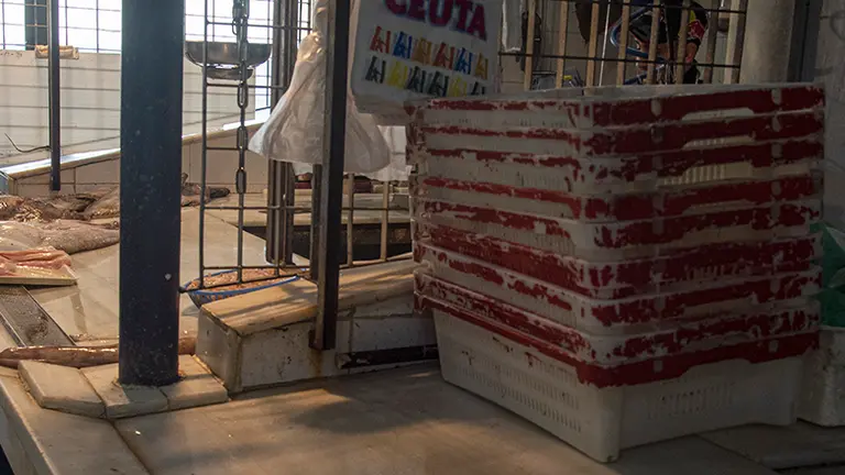 Mercado vac&iacute;o panoramica
