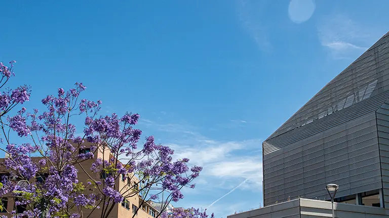 Panor&aacute;mica de la Biblioteca P&uacute;blica de Ceuta