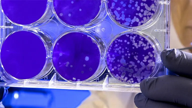 laboratorio pruebas covid coronavirus