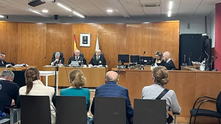 Un momento de la vista.