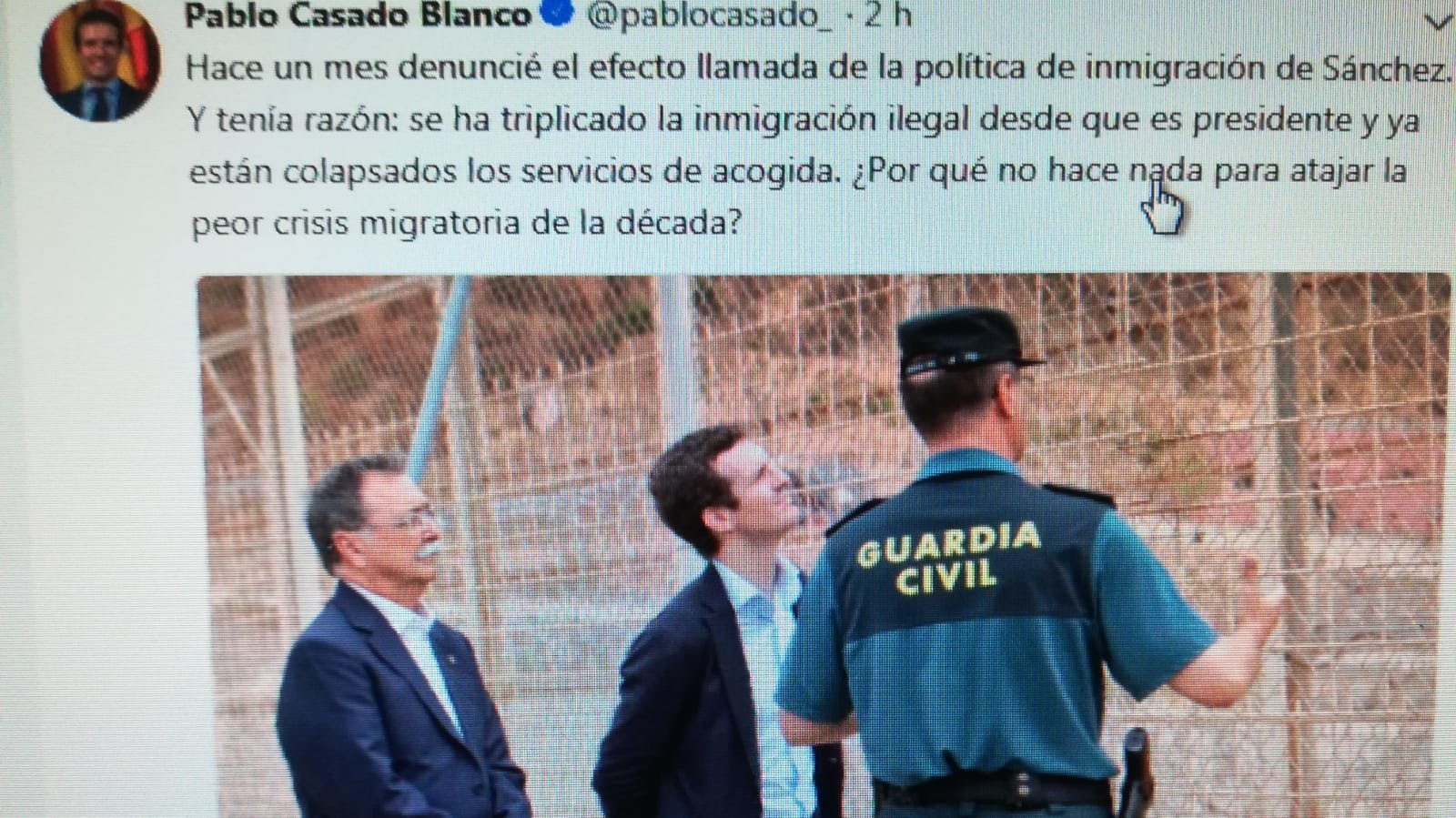 Casado