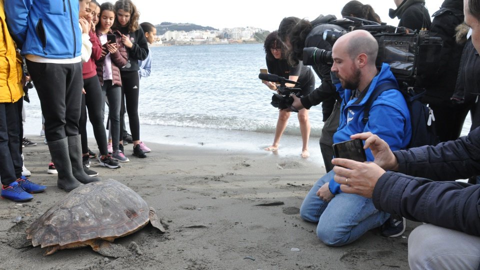 tortuga 2 dic2019