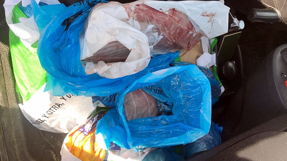 pescado bolsas