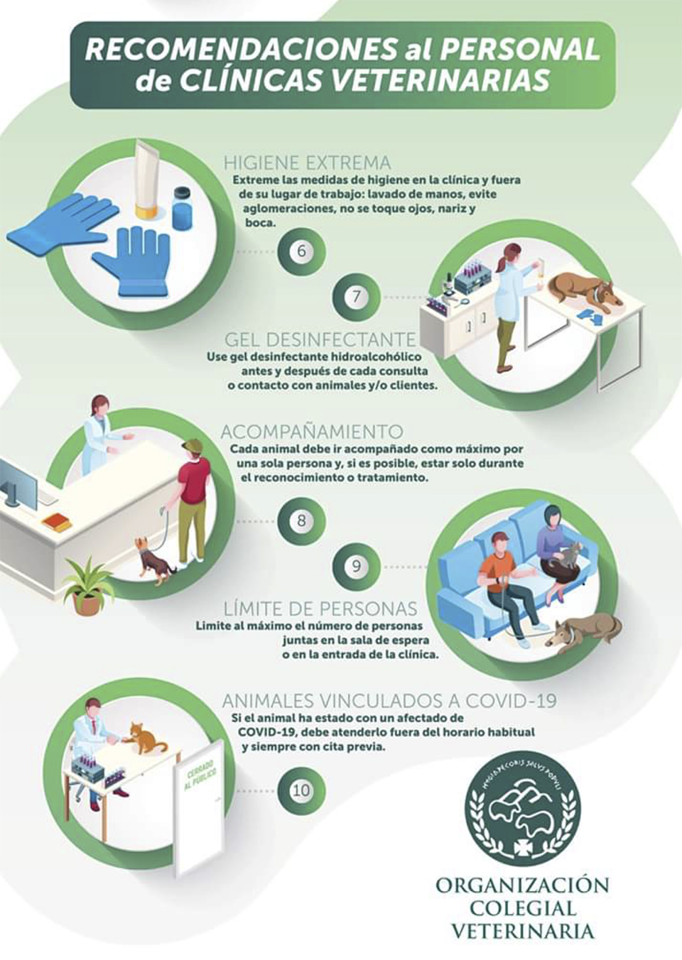 animales domésticos coronavirus 2