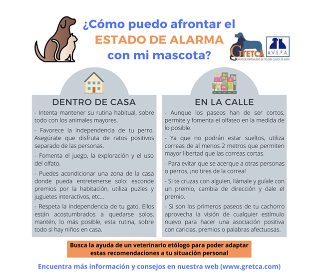 Consejos para mascotas en confinamiento