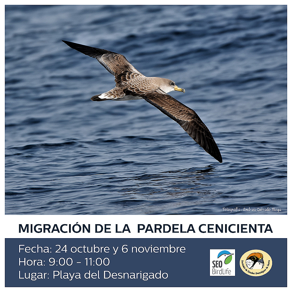 Jornadas de Observación de Aves