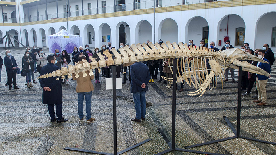 Gigantes del Mar en el Campus 2