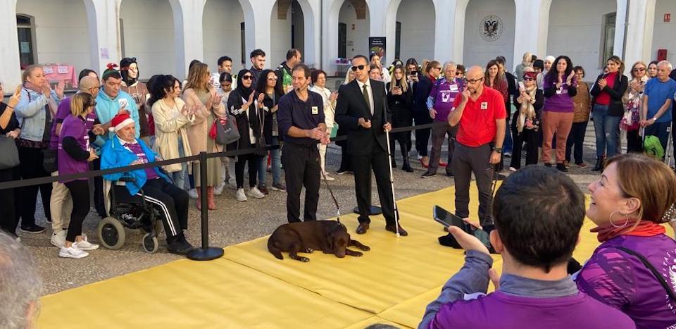 Un momento de la exhibición canina.