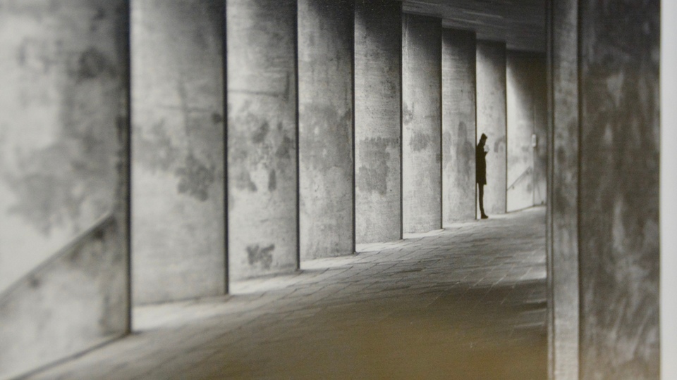 Miradas revellín exposición muestra fotografía imágenes