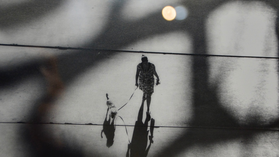 Miradas revellín exposición muestra fotografía imágenes