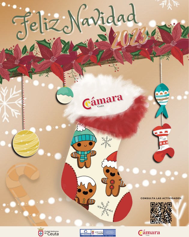 cartel navidad camara dic23