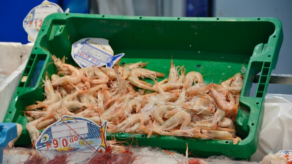 Mercado Central de Abastos Navidad 2023 inflación precios pescado marisco