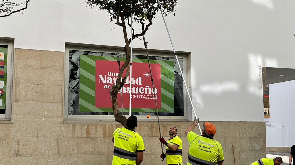 tragsa operarios naranjas árboles retirada