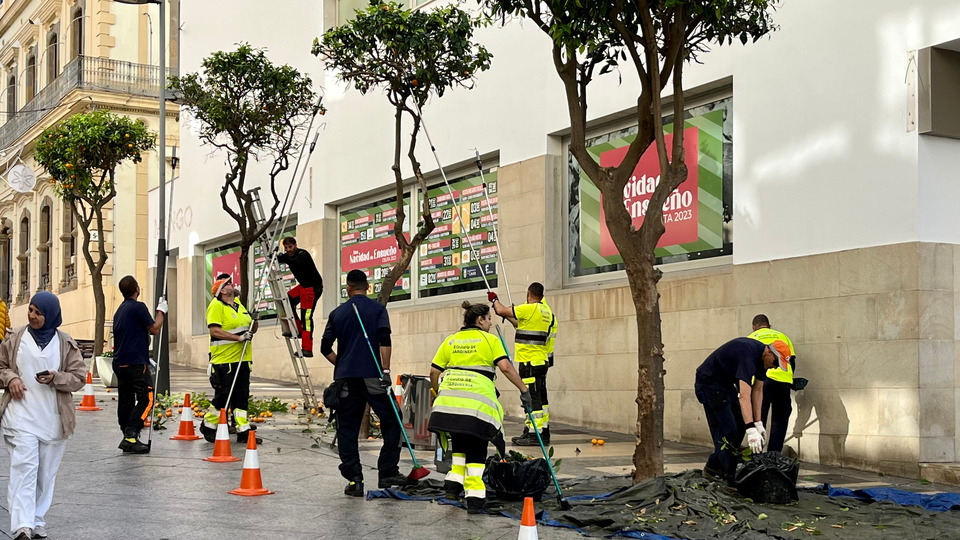 tragsa operarios naranjas árboles retirada