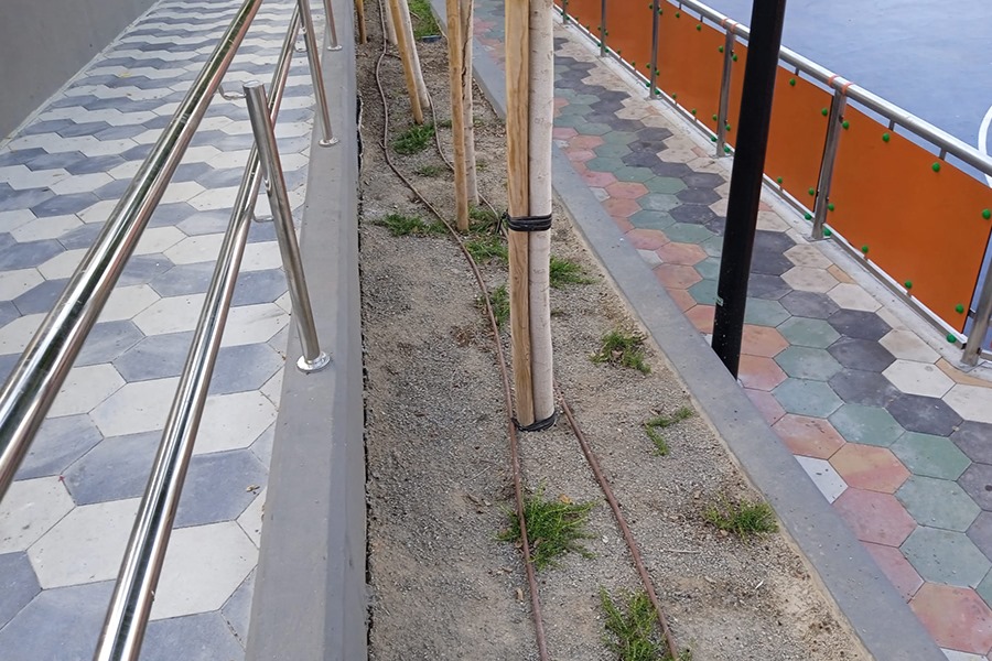 Zona sin césped en la Plaza Nicaragua.