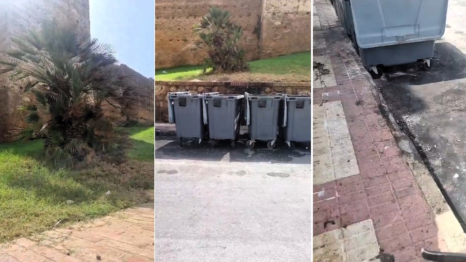 Tras el último incendio, ni se ha limpiado la zona ni podado un palmito afectado por las llamas.