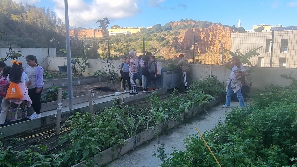 Los niños de Cruz Blanca en el huerto de Loma Colmenar1
