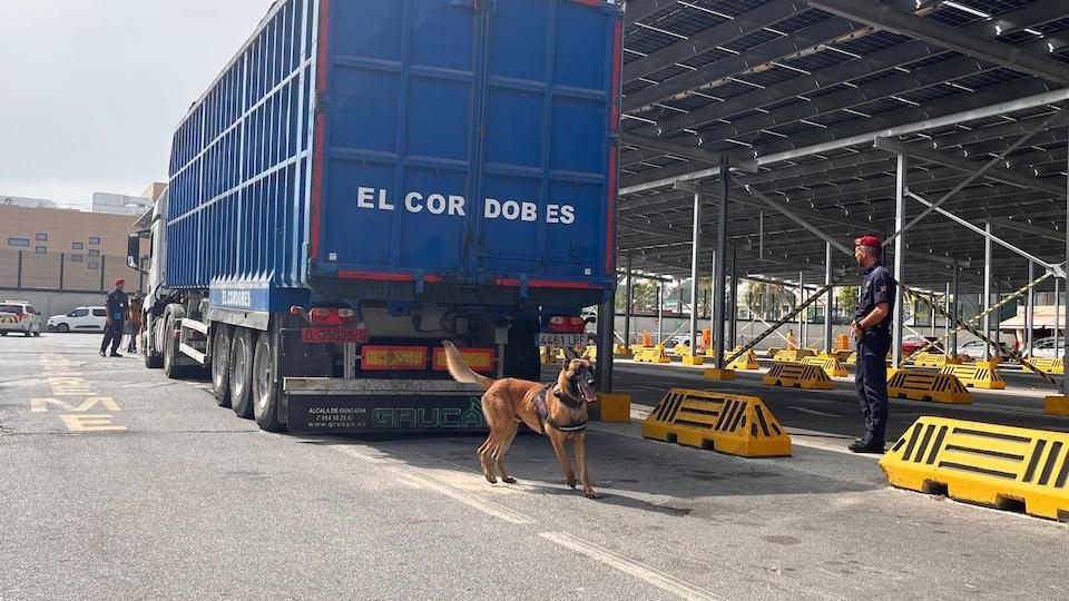 Operación 'Minerva' Frontex OPE coches vehículos puerto policia nacional europa perros control26