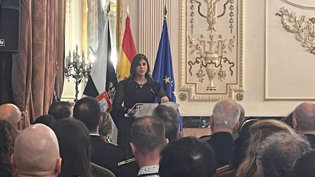 Pleno y acto institucional con motivo del 25N (13)
