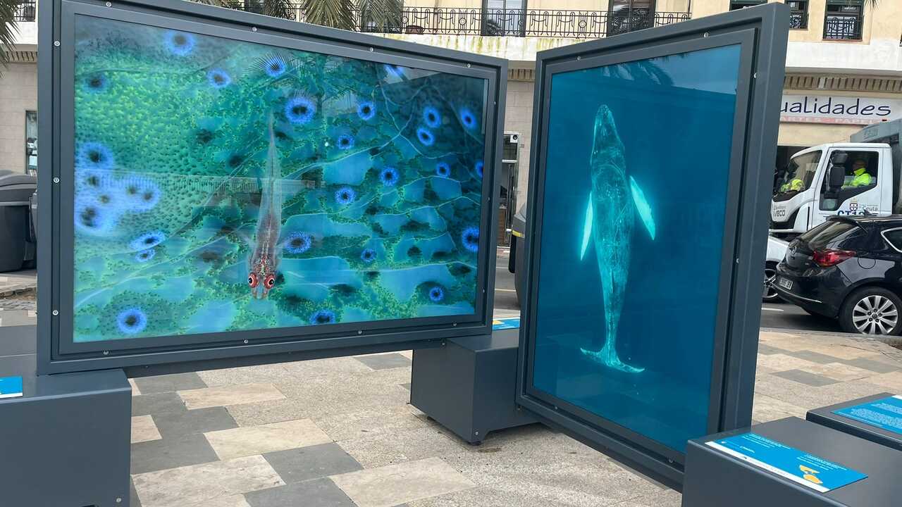 Exposición de National Geographic en el Paseo de la Marina.3